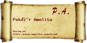 Pekár Amelita névjegykártya